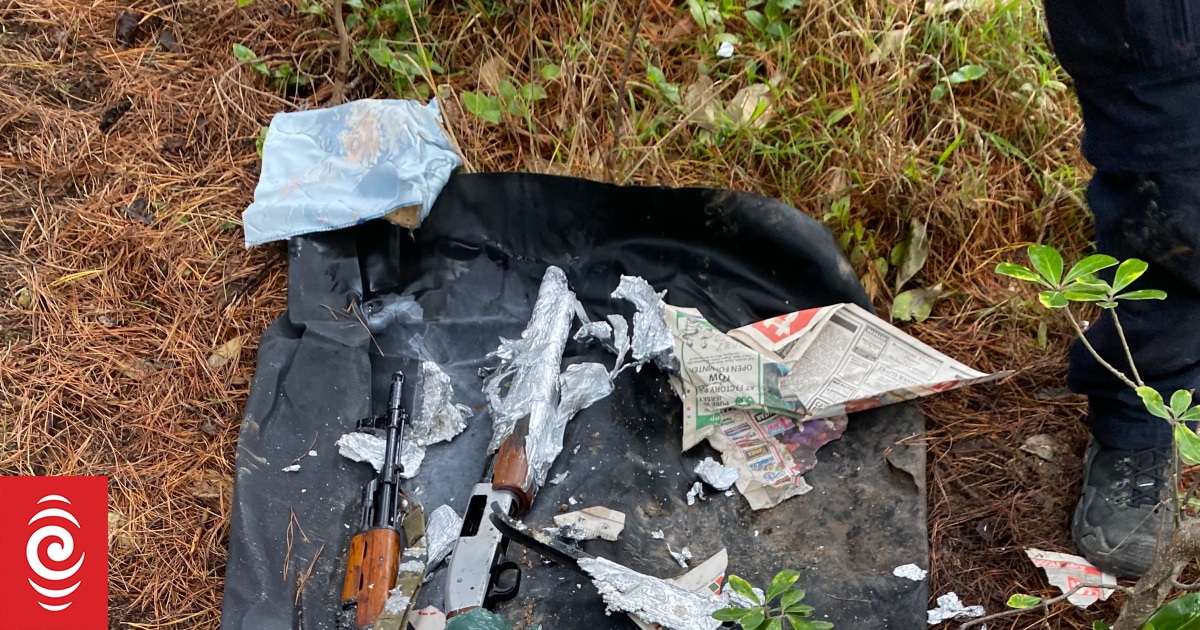 Rookie metal detectorist's copper pipe discovery turns out to be guns, ammunition - Vimarsana News