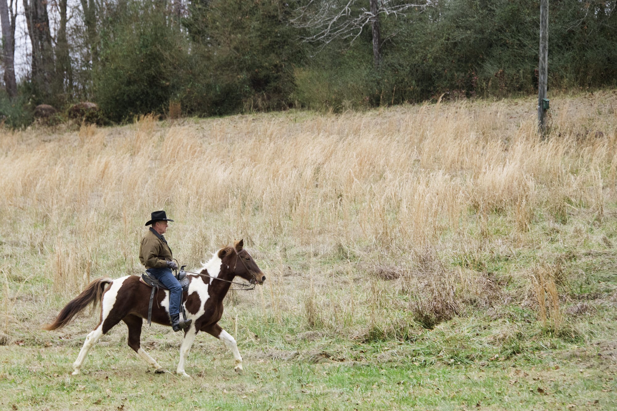 Republican Senatorial candidate Roy Moore rides his horse, Sassy, to the polling station to vote in  Gallant.