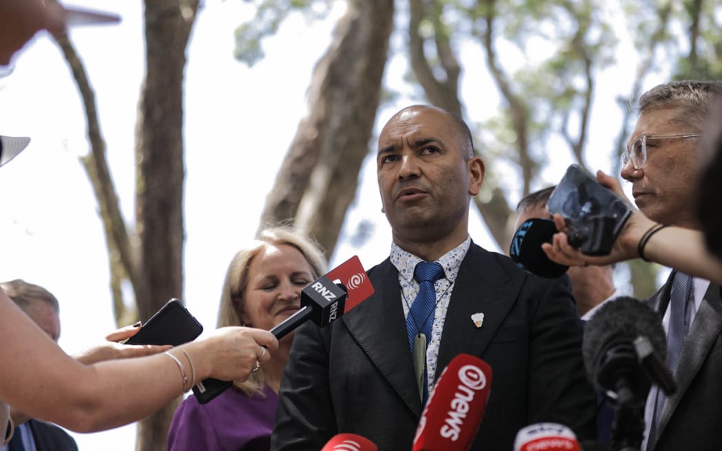 Tama Potaka speaks to media at Waitangi