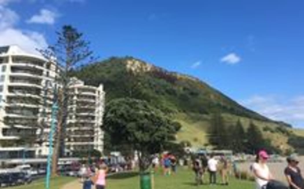 mt maunganui