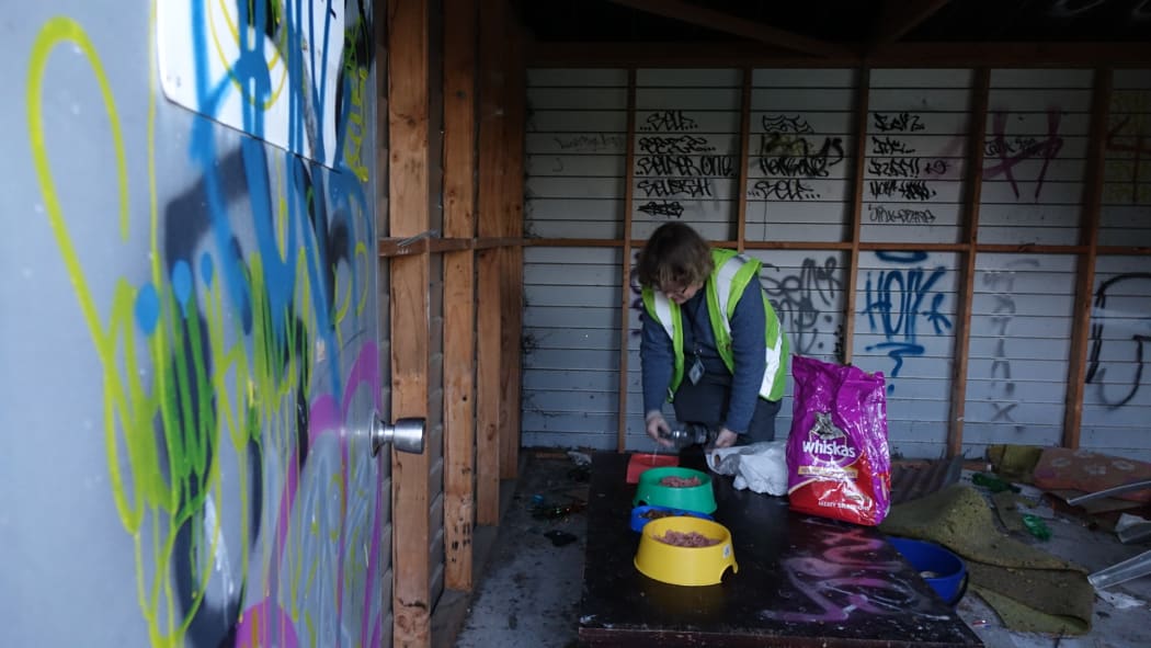Jane Newman putting out cat food in a feeding station in Christchurch's red zone.