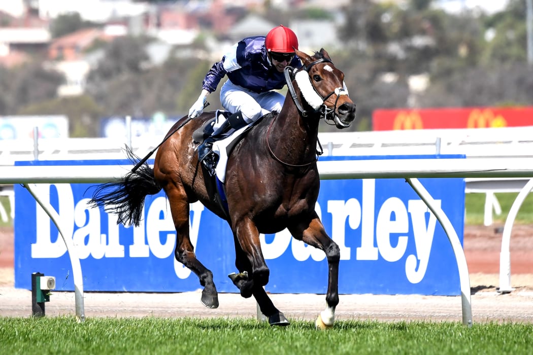 Melbourne Cup 2020 winner Twilight Payment ridden by Jye McNeil at Flemington Racecourse.