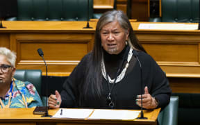 Te Pāti Māori MP, Mariameno Kapa-Kingi speaking in the House.