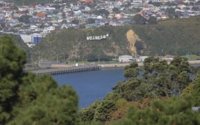 Wellington generic