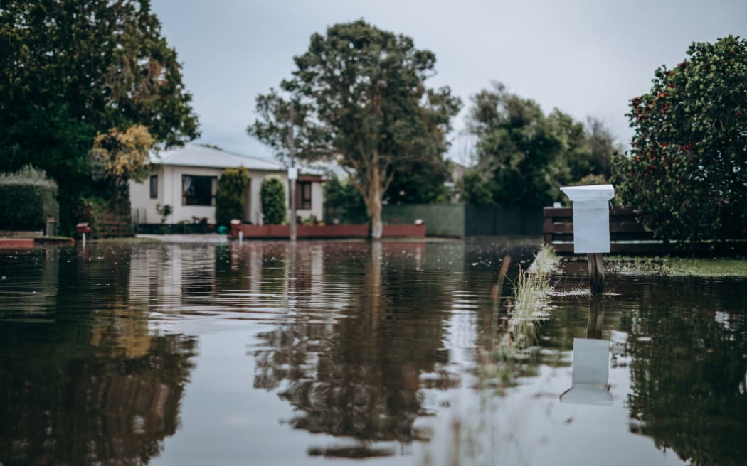 Napier flood - house