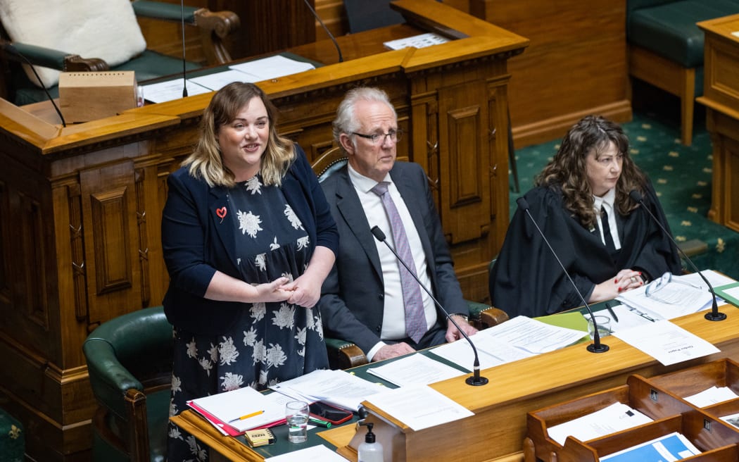 Nelson MP Rachel Boyack (Labour) answers MP's questions from the Table during the committee stage of her Plain Language Bill.