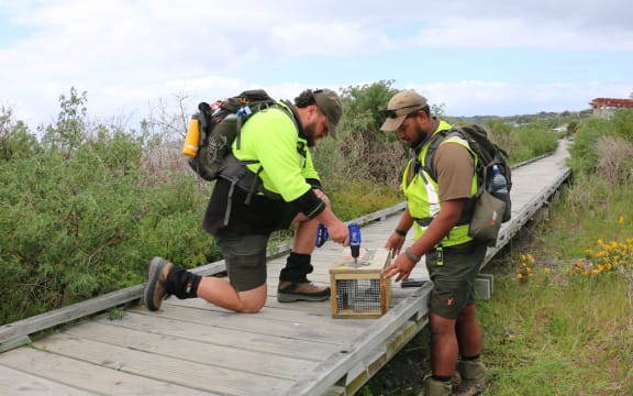 Rex Allen and Thor Manawatu