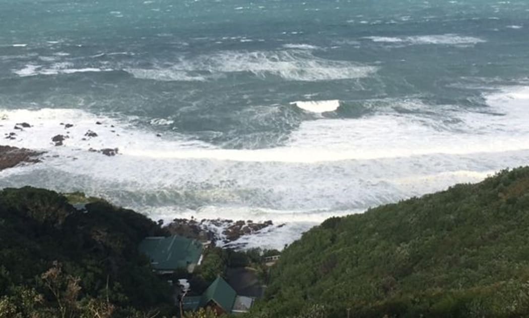 Looking out on the Cook Strait.