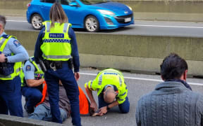 Police remove a protester from the Wellington motorway approaching the Terrace Tunnel who is believed to have superglued his hand to the road.