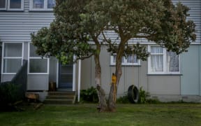 State house in Titahi Bay, Wellington.