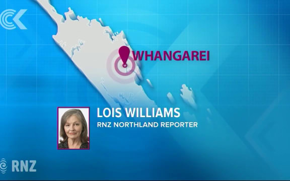 American visitor, 21, denies causing fatal crash