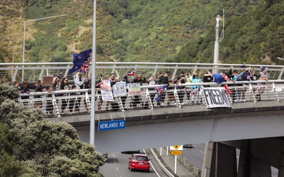 Protest convoy supporters hold signs at the Newlands Road interchange near Wellington.