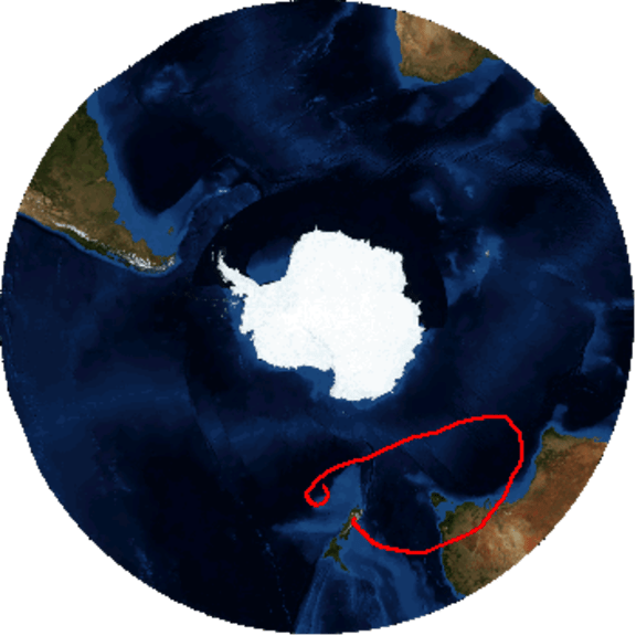 During the first week since lift-off, the balloon has flown a loop to Australia and back.