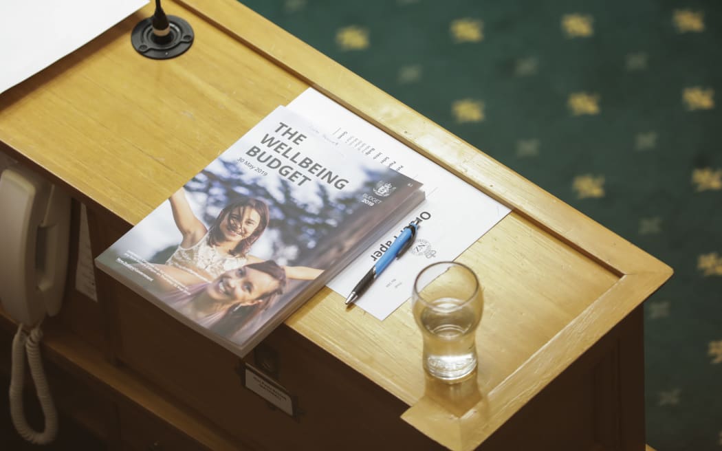 The 2019 budget in the debating chamber