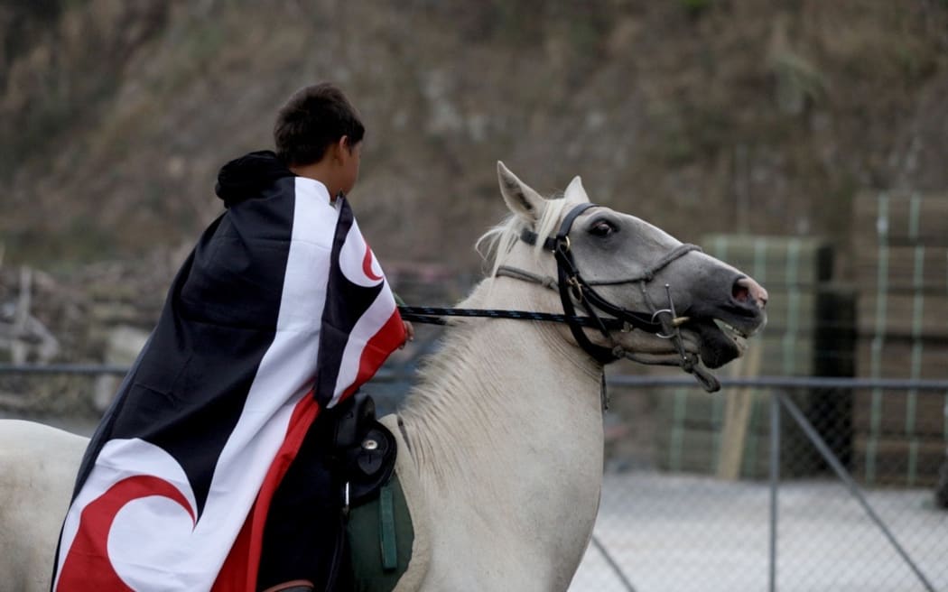 Boy on a horse south of Kawakawa