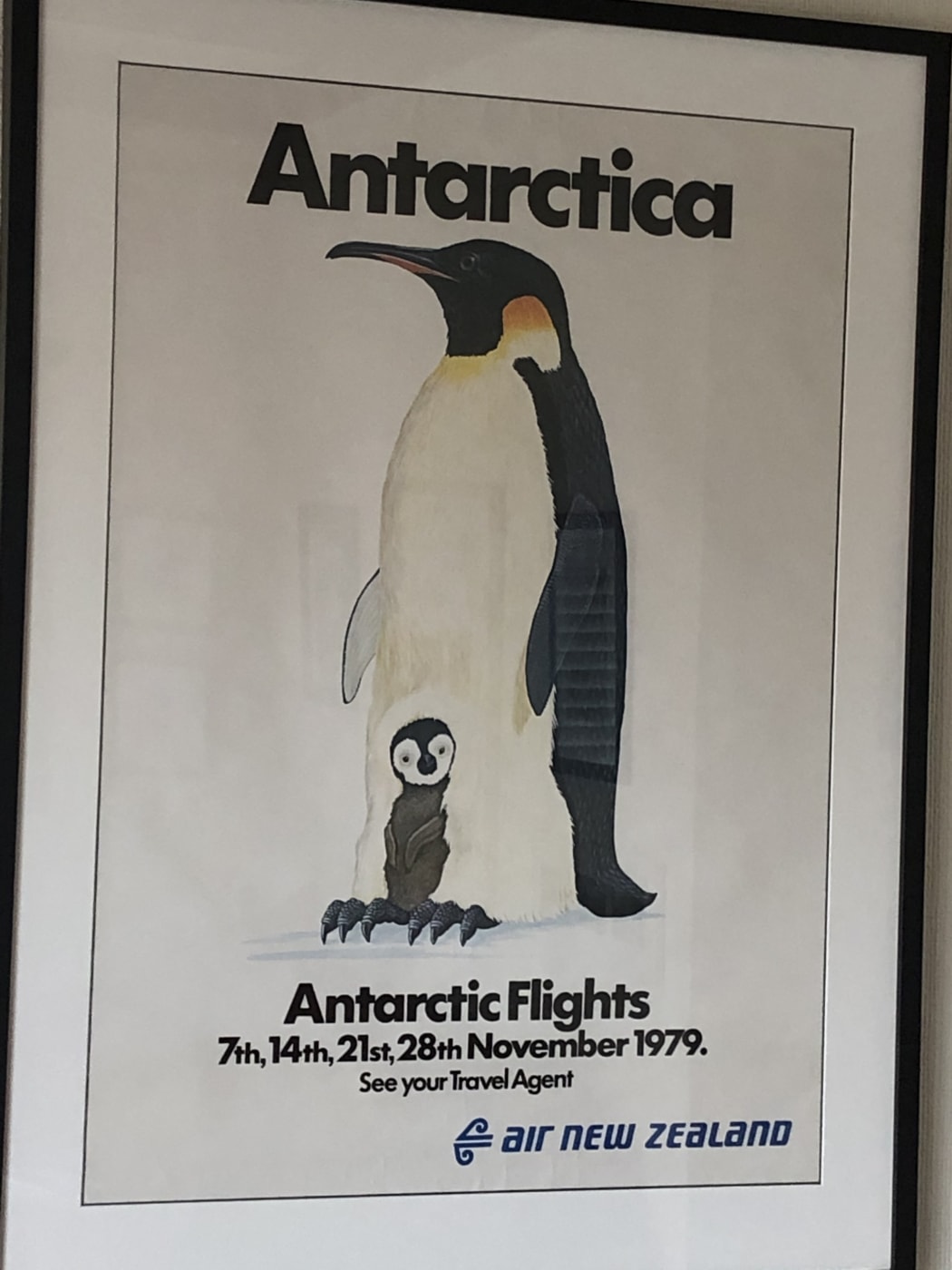 The poster advertising the Antarctic flights and their dates in November 1979