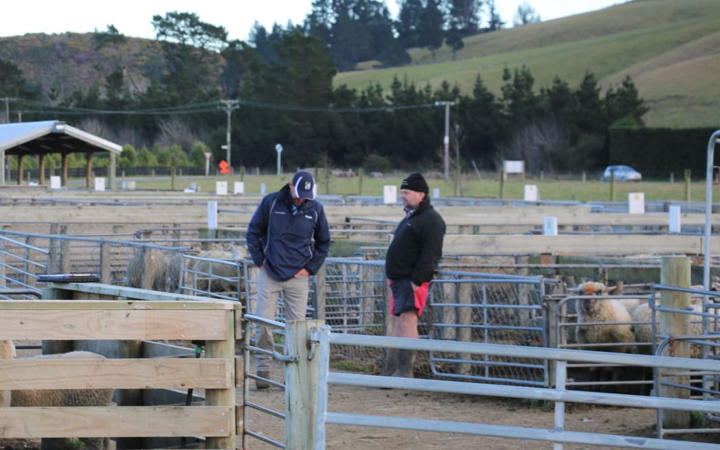 Coalgate Saleyards