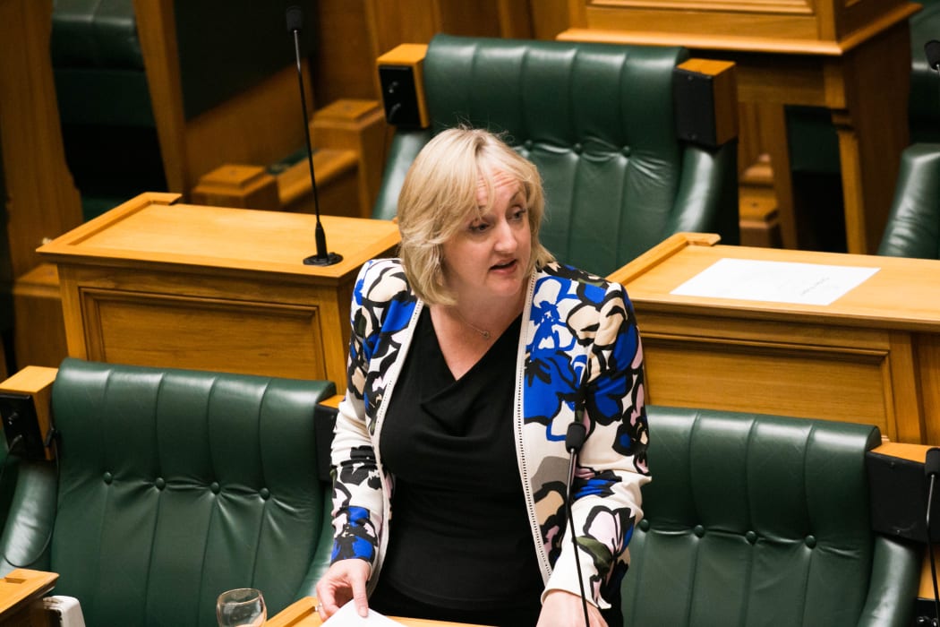 National MP Amy Adams speaks at the first reading of the Family and Whanau Violence Legislation Bill.