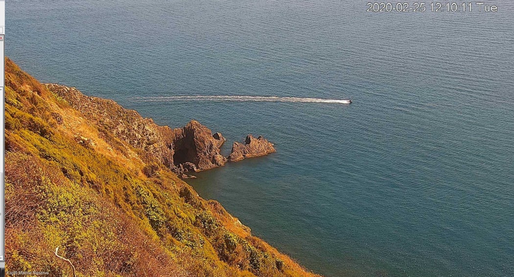 View from one of the webcams at Kapiti Island of Kapiti Marine Reserve.