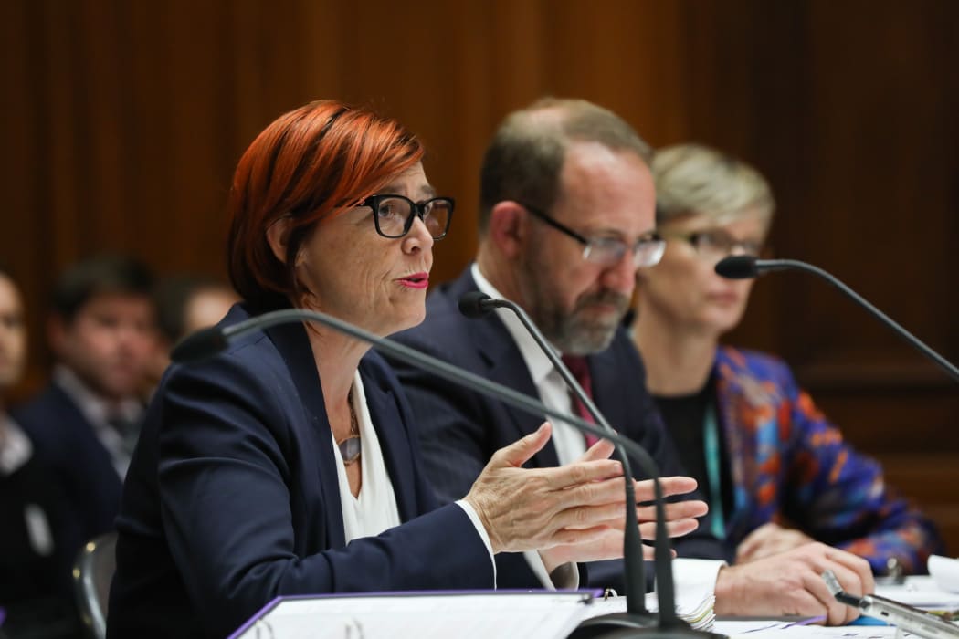 Green MP Jan Logie briefing a Select Committee with Labour MP Andrew Little