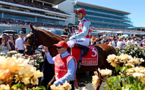 Red Cadeaux with jockey Gerald Mossie after finishing 2nd at the 2013 Melbourne Cup at Flemington Race Course on Tuesday 5th November 2013
© Sport the library / Jeff Crow