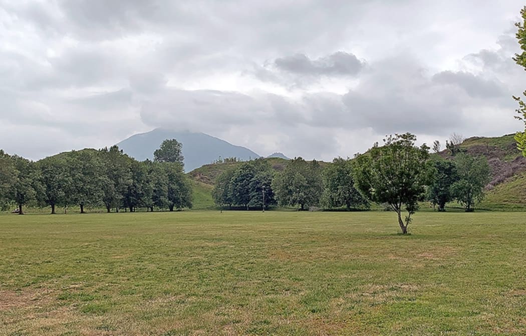 The objection period for the removal of reserve status from Stoneham Park has been extended