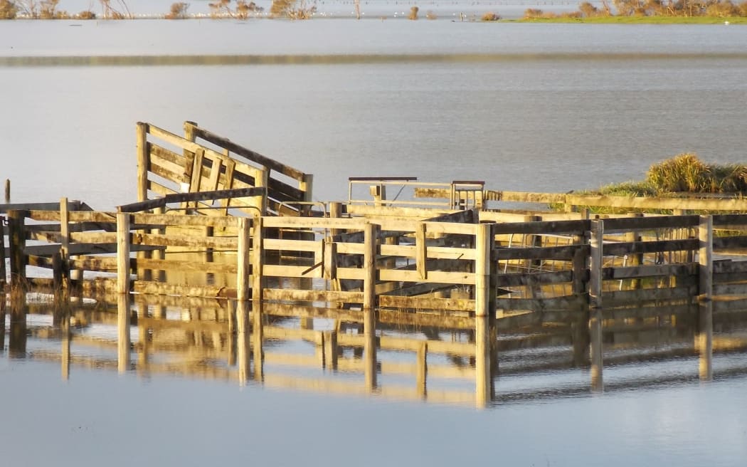 Hikurangi Swamp is one of the hardest hit areas in Northland.