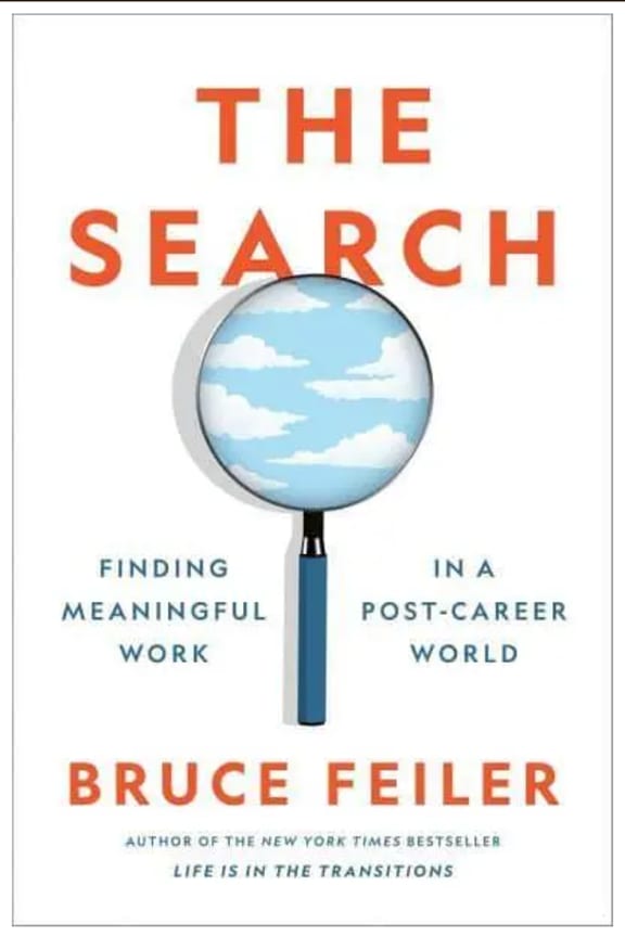 The Search book cover