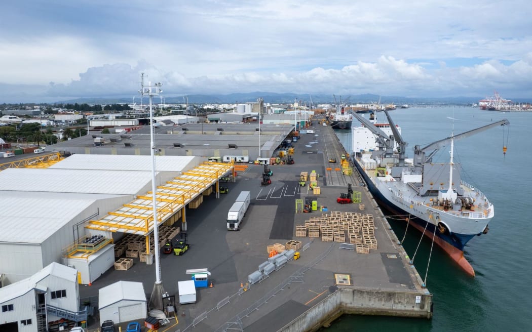 Kiwifruit ready for export.