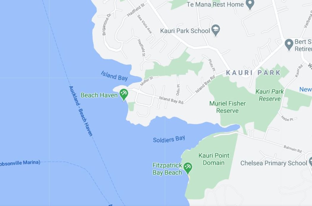 The incident happened on Island Bay Road in Beach Haven in Auckland.