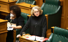 Labour MP Dr Emily Henderson speaks in Parliament.