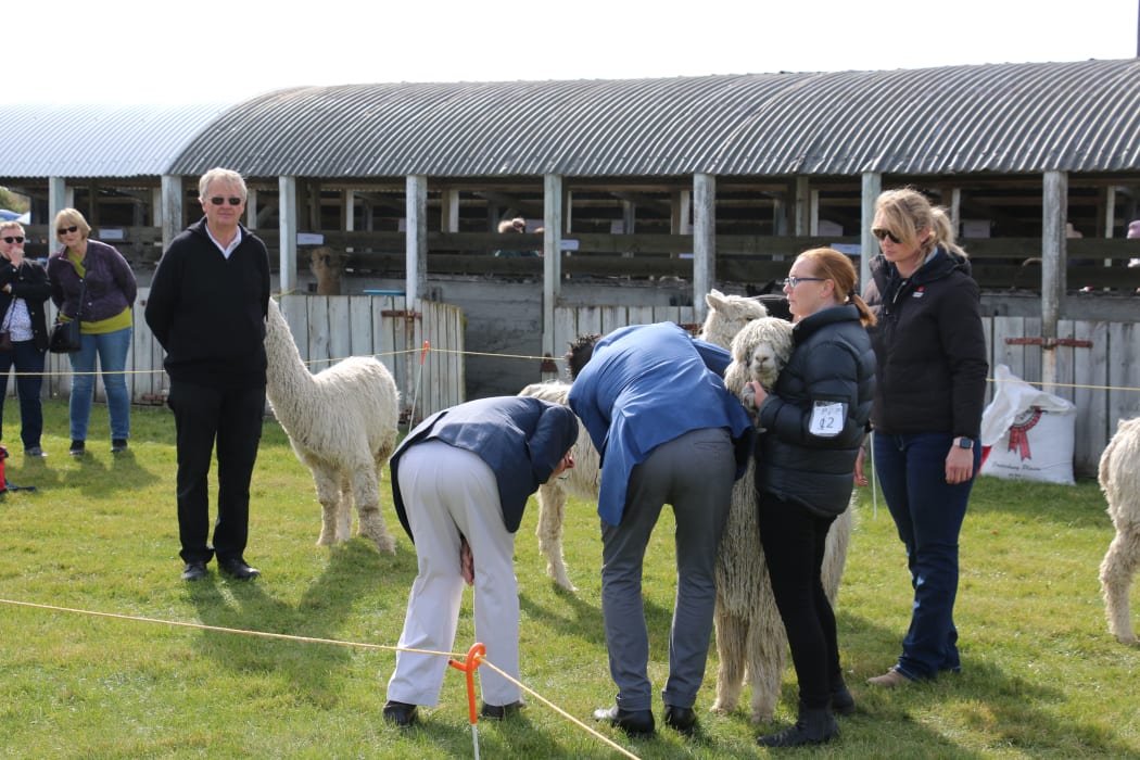 ag show