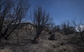 Close call for property in the Port Hills fires