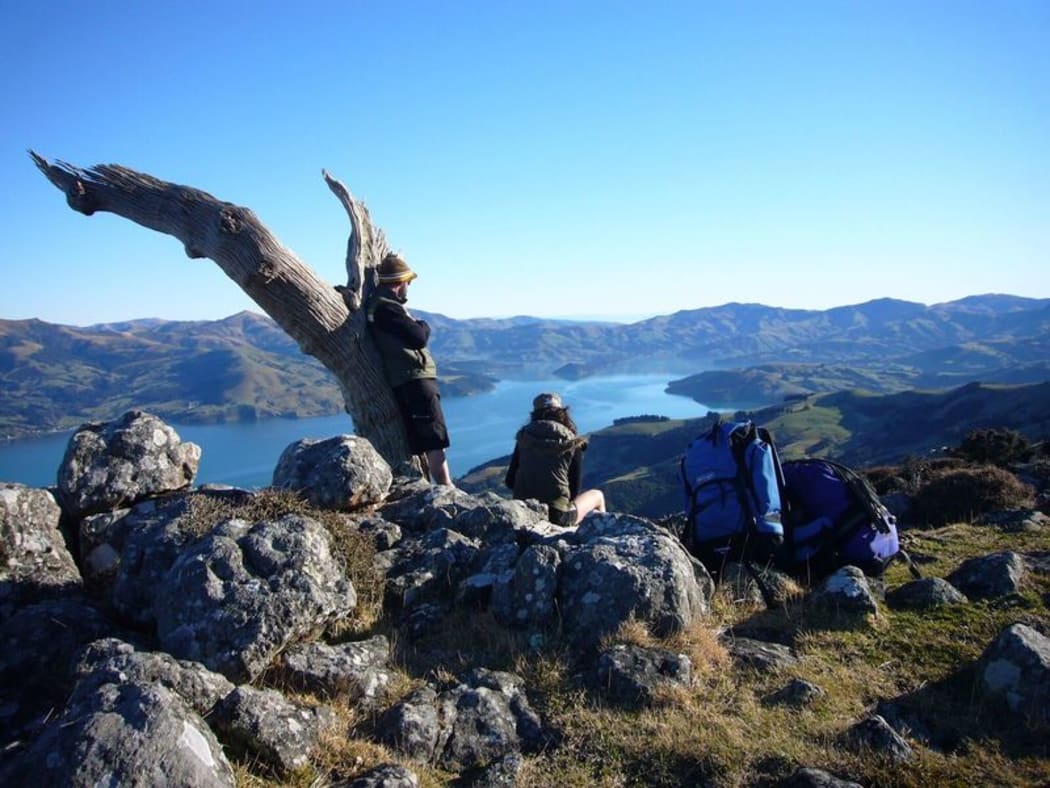 The Banks Peninsula walk near Akaroa.