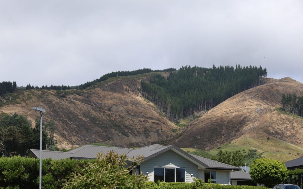 Nelson City Council is unable to hire a manager for its forests even as some residents are concerned about the bare slopes around the city.