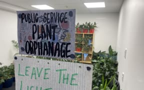 Two signs on paper stuck to a window read 'Public service plant orphanage' and 'leave the light on'.