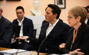 Kiri Allan in Select Committee