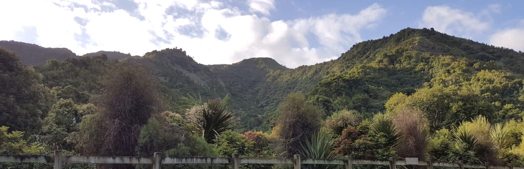 Waikereru Ecosanctuary near Gisborne includes regenerating forest on steep hillsides, and was set up by Dame Anne and Jeremy Salmond.