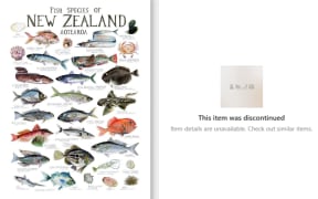 A copy of New Zealand artist Giselle Clarkson's Fish Species of New Zealand poster was being sold on Temu this week for $7.44. The item has since been removed from the store.