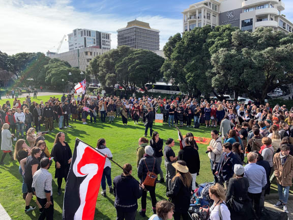 Hundreds of people have gathered outside Parliament in solidarity for those occupying Ihumātao.