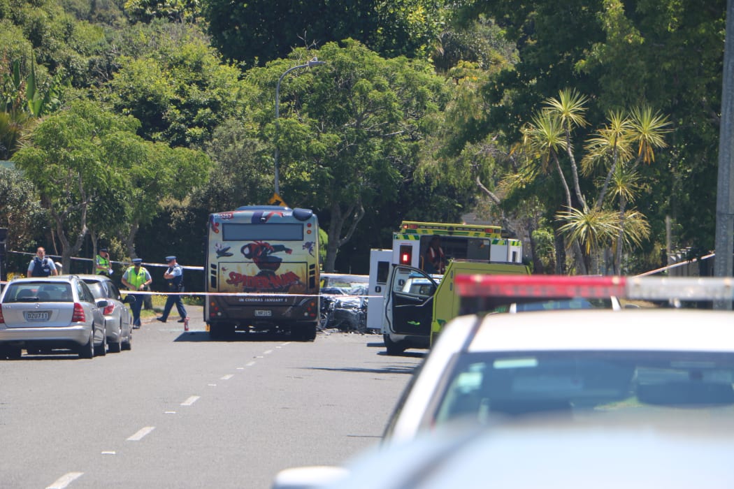 Emergency services at the scene of the crash on Gowing Drive in Auckland on 12 January 2019.