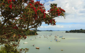 Opua, in the Bay of Islands.