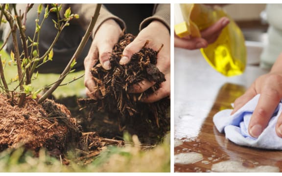 The chores that people want doing: gardening and cleaning