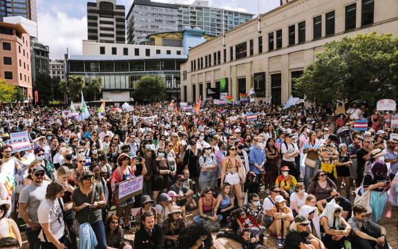 Supporters of the transgender community gather in Wellington.
