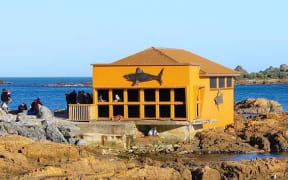 The Island Bay Marine Education Centre - also known as The Bait House - has been operating since 1996.