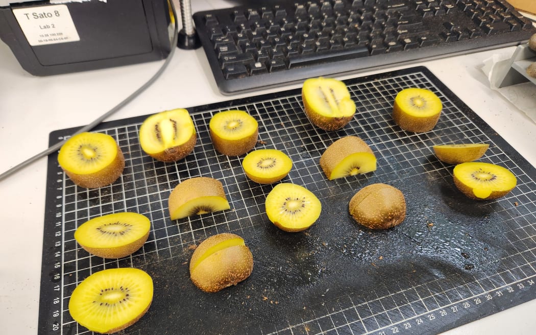 Samples of cut kiwifruit laid out on a tray