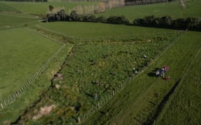 Million Metre volunteers work on a catchment area planting native trees.
