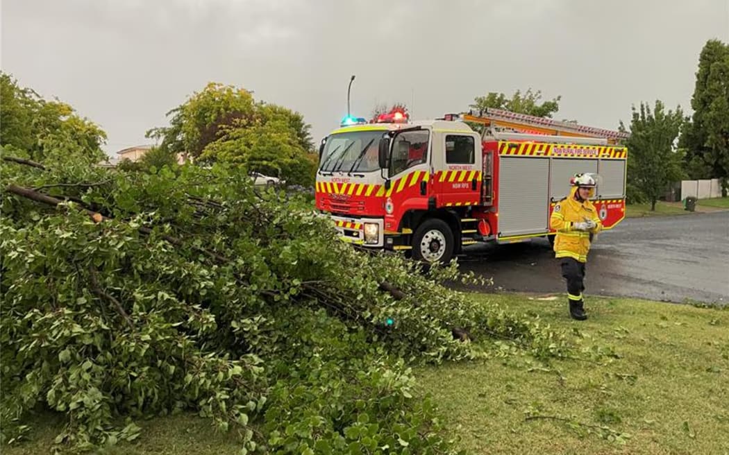 Trees also came down around Orange, one hour north of Cowra.