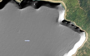 Lines of mussel shells beneath marine farms in Forsyth Bay.