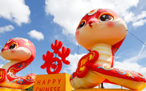 To celebrate the Year of the Snake, two silk snakes will make their debut appearance at the Auckland Lantern Festival, running from February 13 to 16, 2025.